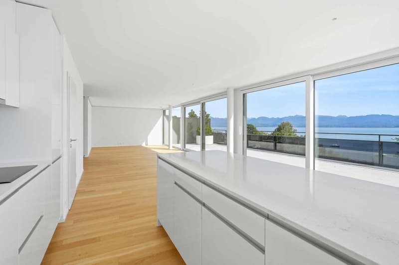 Magnifique attique neuf de 5.5 pièces  Rooftop exclusif à 360 (8)