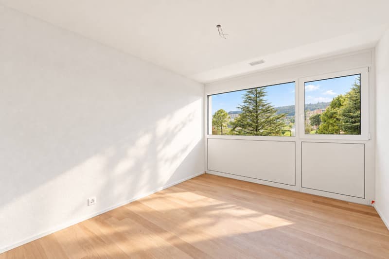 Magnifique attique neuf de 4.5 pièces Rooftop exclusif (4)