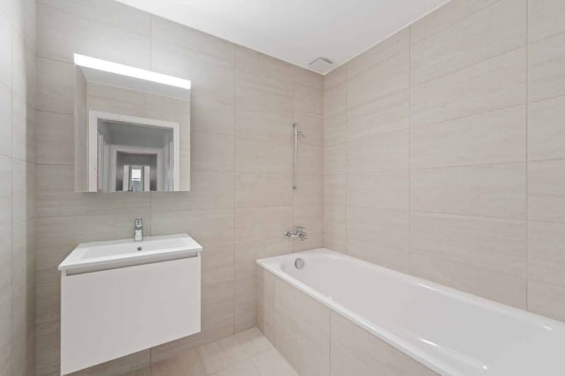 Magnifique attique neuf de 4.5 pièces Rooftop exclusif (5)