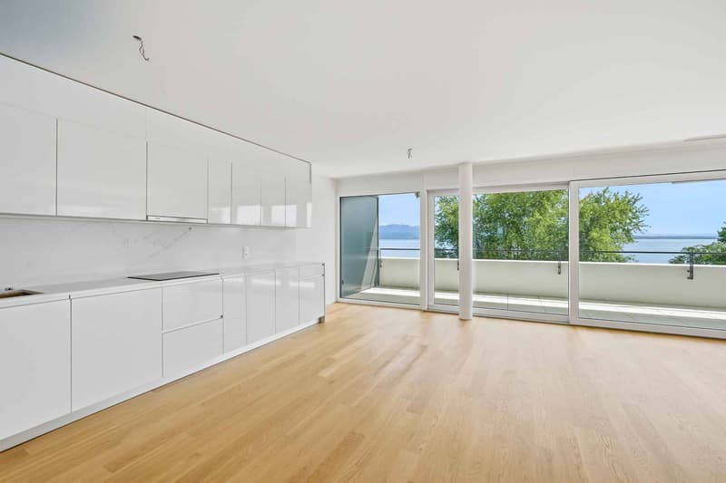 Magnifique appartement neuf de 4,5 pièces avec balcon couvert de 76 m2! (3)