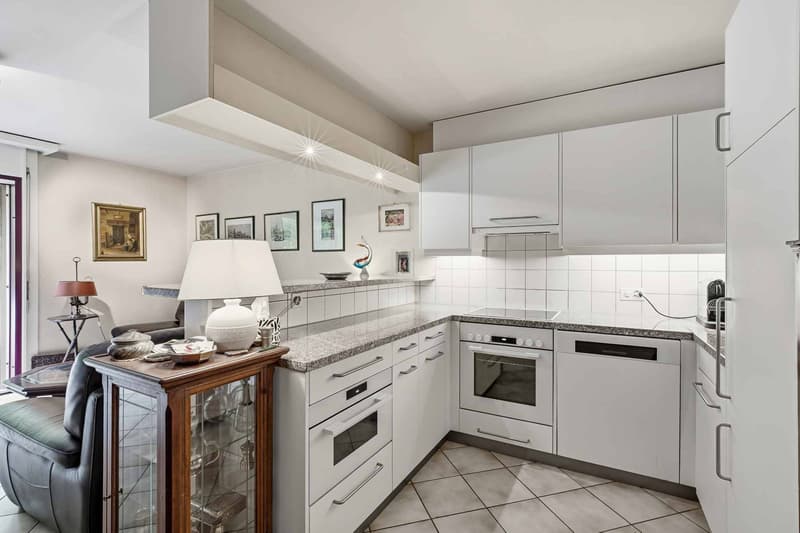 Nyon - Un charmant duplex au cur de la ville, au calme absolu (8)
