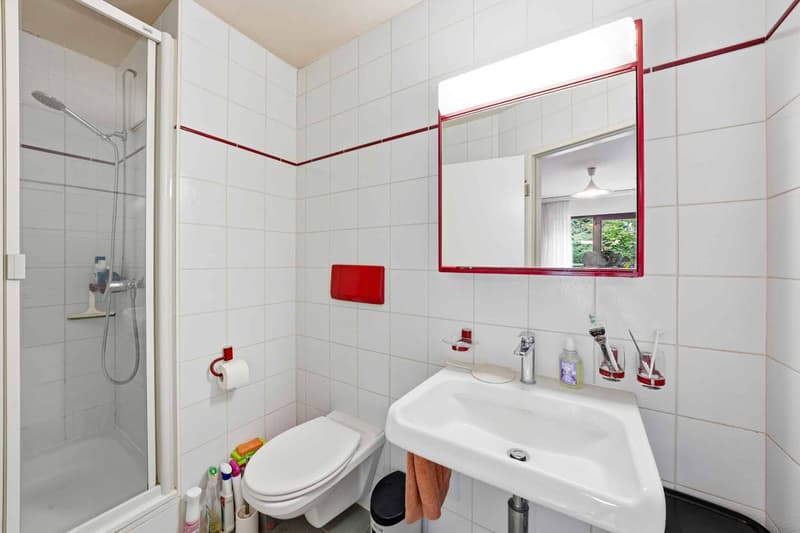 Nyon - Un charmant duplex au cur de la ville, au calme absolu (10)
