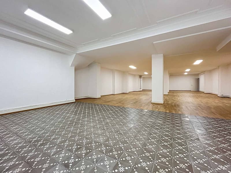 Grande surface modulables en plein cur de la ville - Idéal activités spécialisées - Hôtel-de-Ville 2 (12)