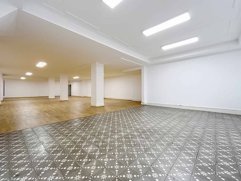 Grande surface modulables en plein cur de la ville - Idéal activités spécialisées - Hôtel-de-Ville 2 (11)