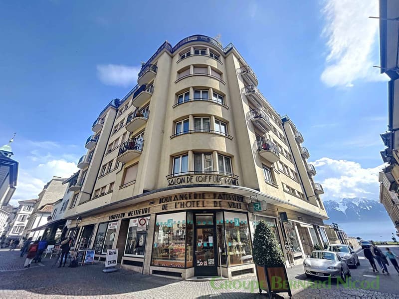 Grande surface modulables en plein cur de la ville - Idéal activités spécialisées - Hôtel-de-Ville 2 (1)