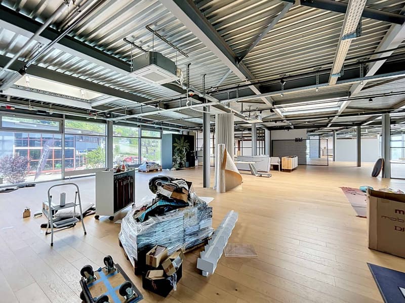 Environ 765m2 pour créer votre futur buisness - Industrielle 11 (6)