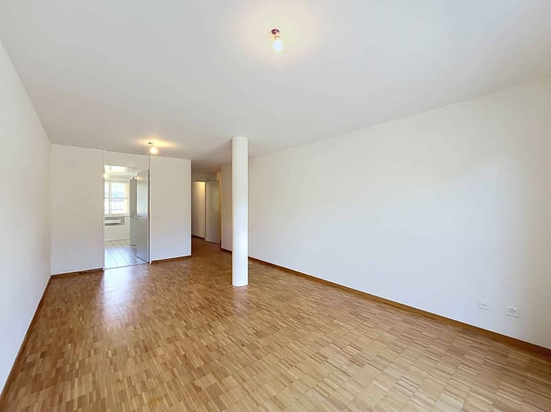 Appartement de 3 pièces rénové - Praz-Routoz 1A (4)