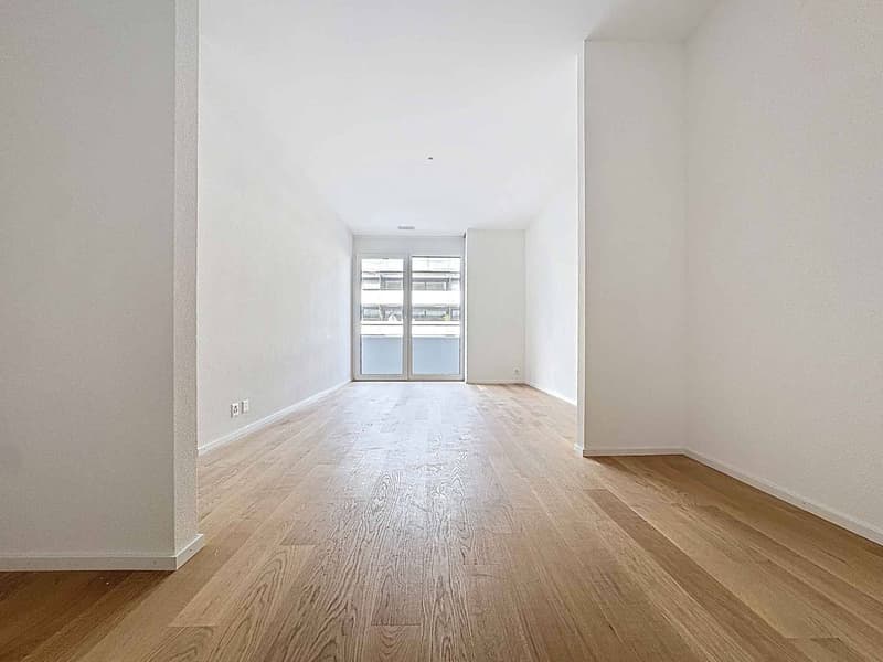 Luxueux 4.5 pièces traversant neuf avec 2 balcons (4)