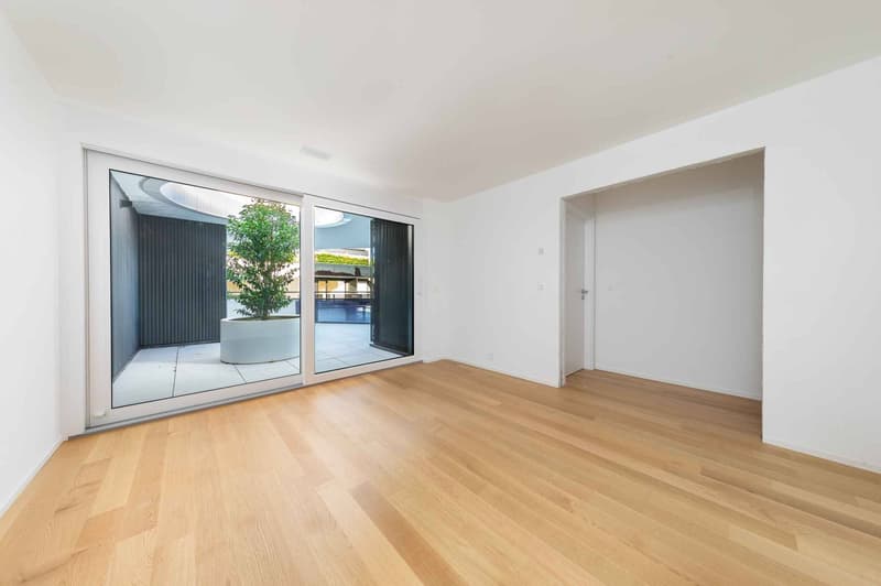 Attique neuf de 4.5 pièces avec rooftop terrasse (5)
