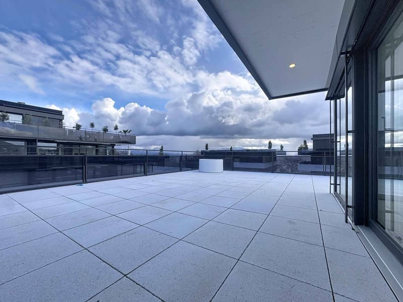 Attique neuf de 4.5 pièces avec rooftop terrasse (9)