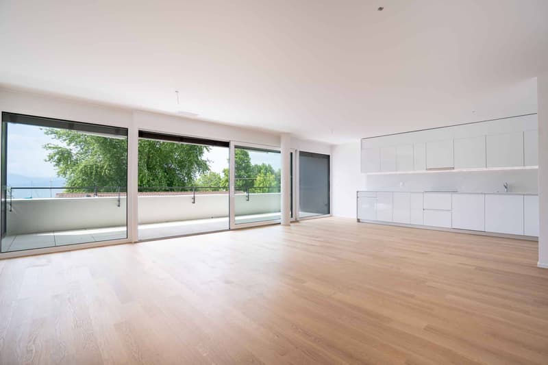 Luxueux 4.5 pièces traversant avec balcon couvert de 76m2 (3)