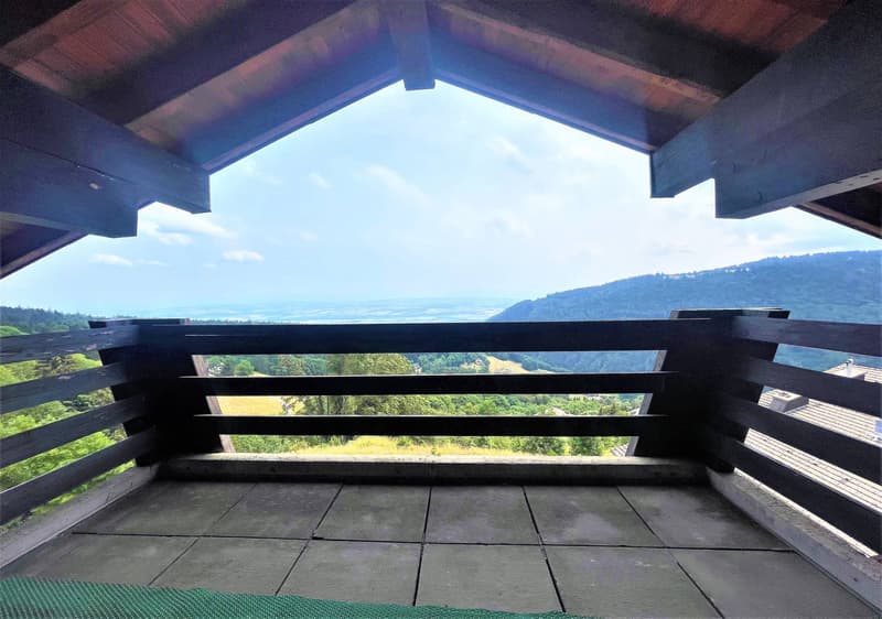 Appartement de 3.5 pièces de 63m2 en duplex dans les combles avec balcons et vue imprenable (5)