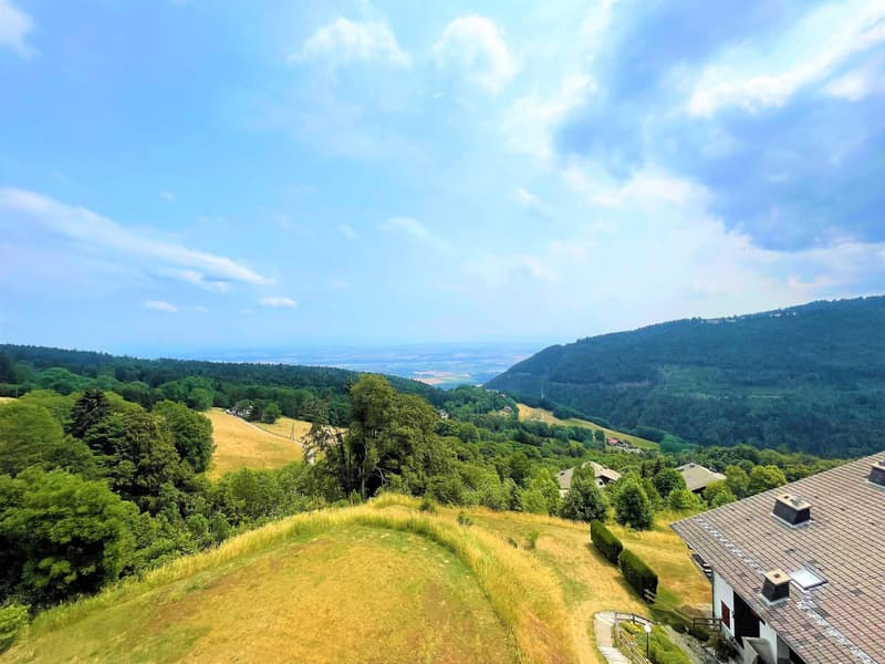 Appartement de 3.5 pièces de 63m2 en duplex dans les combles avec balcons et vue imprenable (6)