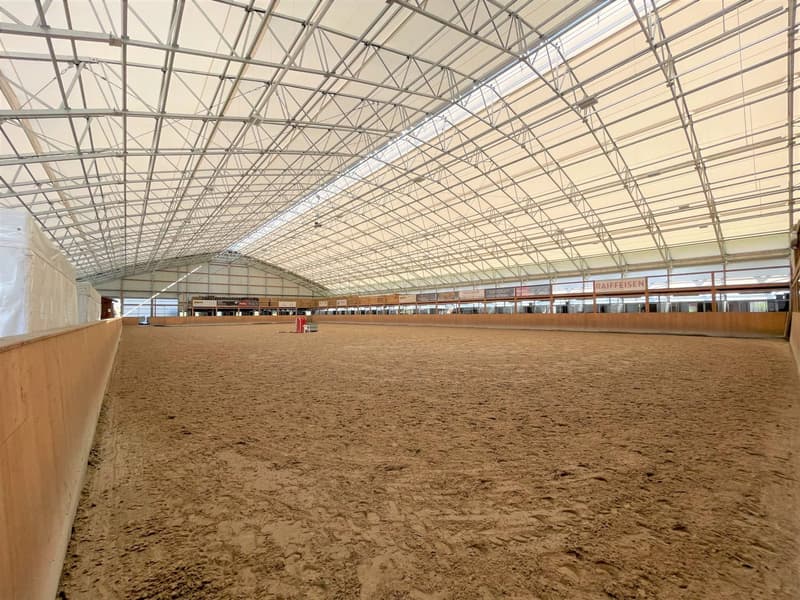 Magnifique centre équestre aux diverses facettes ! (7)