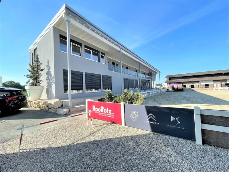 Magnifique centre équestre aux diverses facettes ! (1)