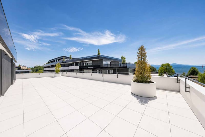 Luxueux 4.5 pièces avec terrasse et ascenseur privatif (9)
