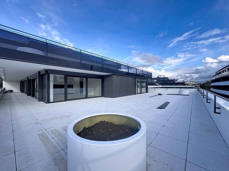 Luxueux 4.5 pièces avec terrasse et ascenseur privatif (8)