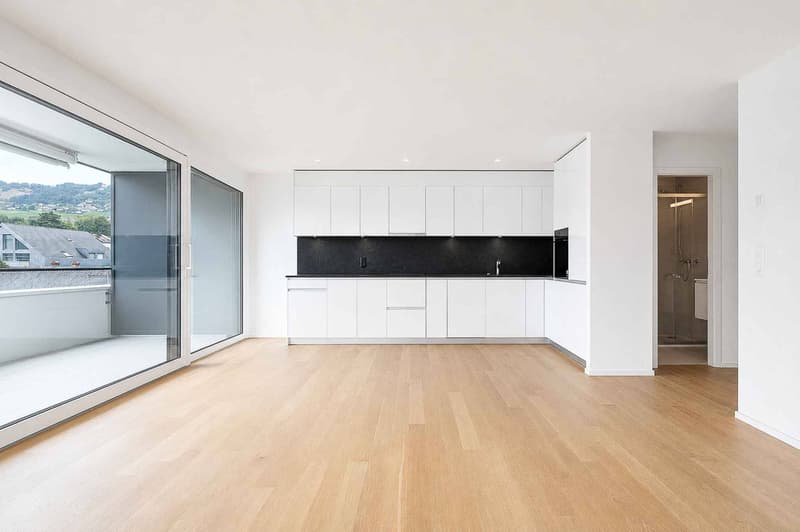 Luxueux 4.5 pièces avec terrasse et ascenseur privatif (3)