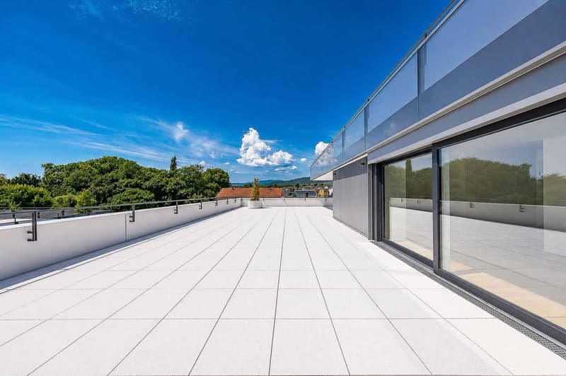 Luxueux 4.5 pièces avec terrasse et ascenseur privatif (8)