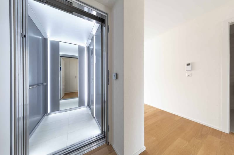 Luxueux 4.5 pièces avec terrasse et ascenseur privatif (4)