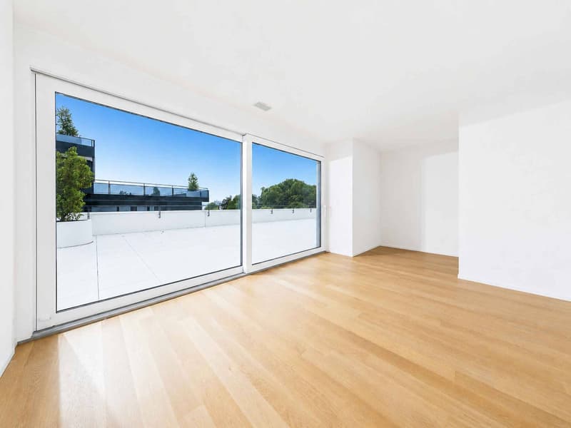 Luxueux 4.5 pièces avec terrasse et ascenseur privatif (5)