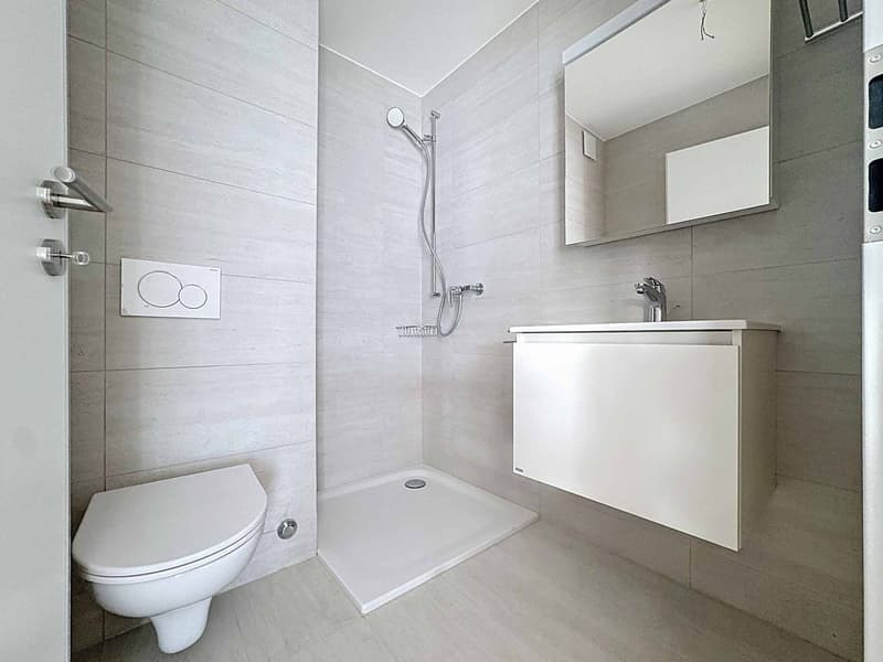 Luxueux 4.5 pièces avec terrasse et ascenseur privatif (7)