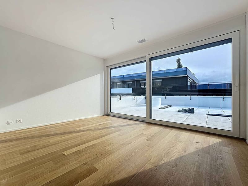 Luxueux 4.5 pièces avec terrasse et ascenseur privatif (5)