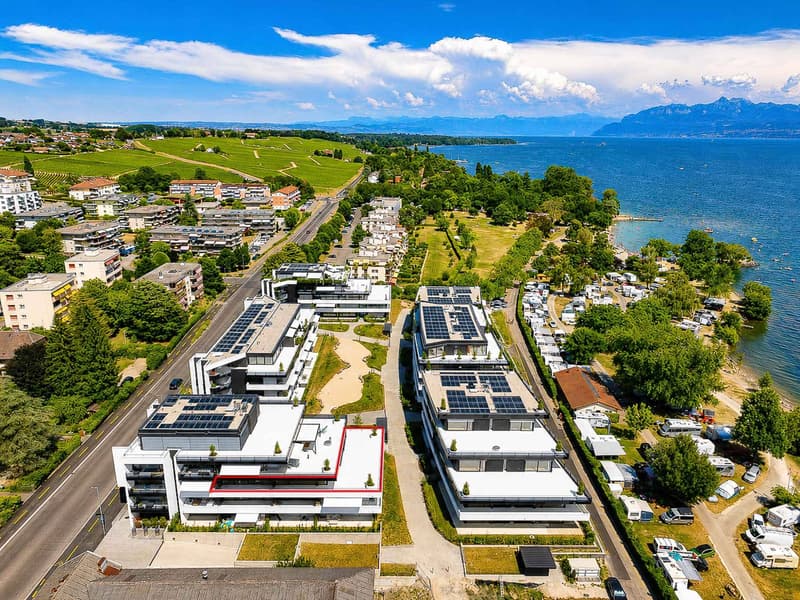 Luxueux 4.5 pièces avec terrasse et ascenseur privatif (10)
