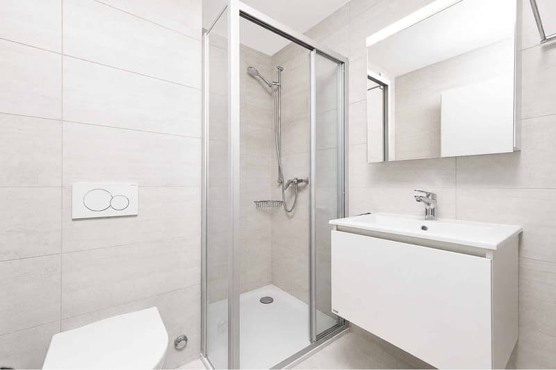 Luxueux 4.5 pièces avec terrasse et ascenseur privatif (7)