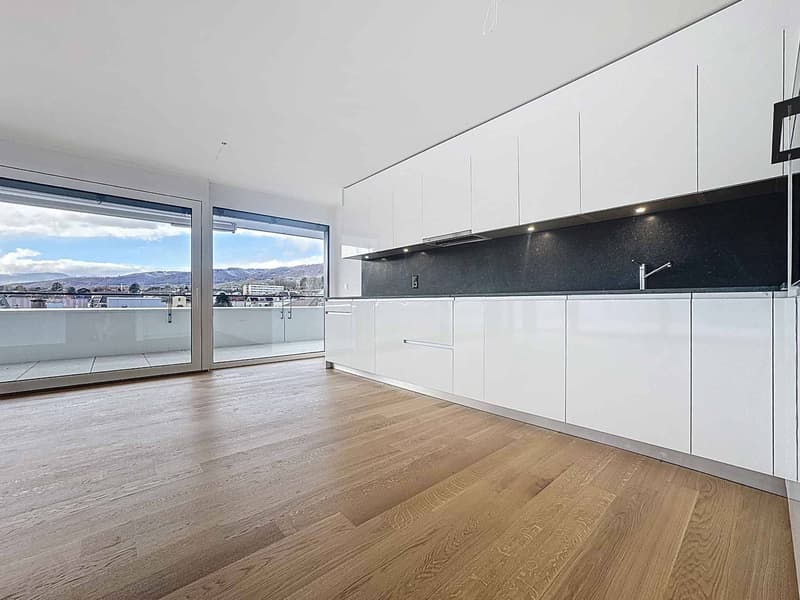 Luxueux 4.5 pièces avec terrasse et ascenseur privatif (4)
