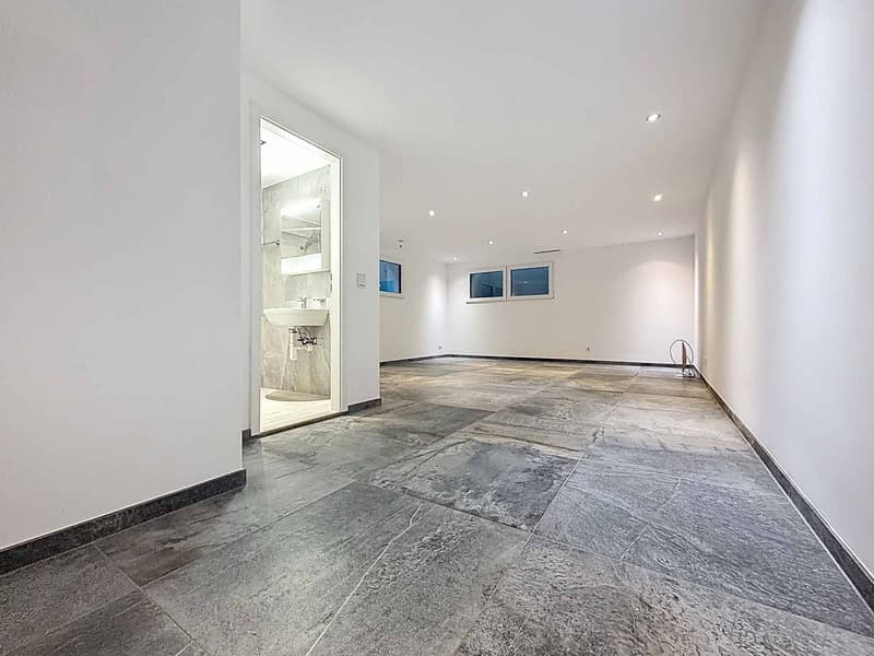 Duplex de 4.5 pièces avec sous-sol, jardin et vue sur le lac (7)