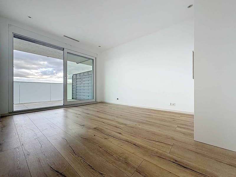 Duplex de 4.5 pièces avec sous-sol, jardin et vue sur le lac (5)