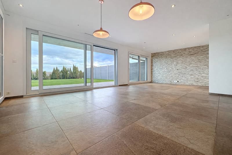 Duplex de 4.5 pièces avec sous-sol, jardin et vue sur le lac (2)