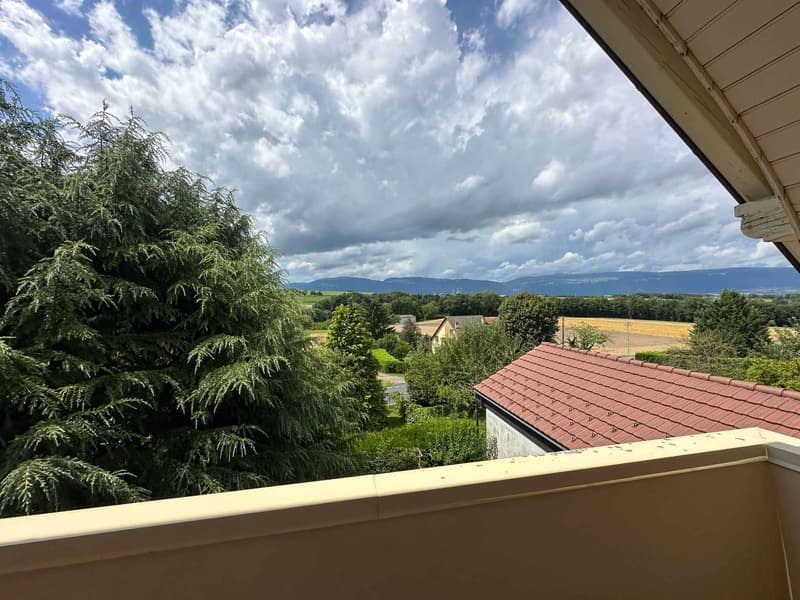 Maison individuelle de 4.5 pièces avec terrasses et jardin (12)
