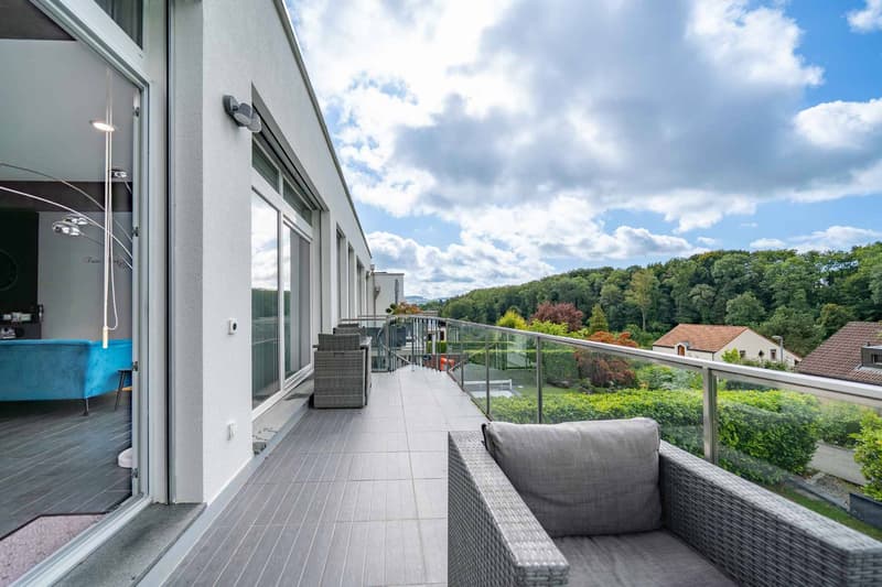 Bien moderne de 5.5 pièces avec 2 balcons, 2 terrasses et jardin (9)