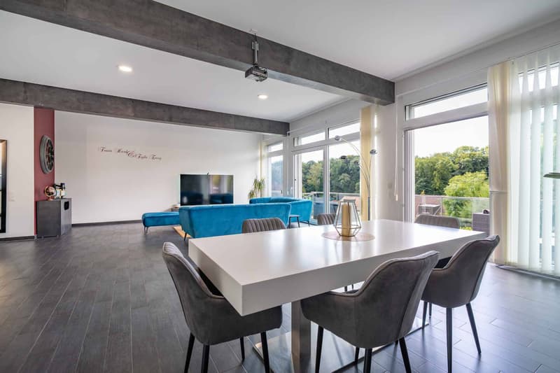 Bien moderne de 5.5 pièces avec 2 balcons, 2 terrasses et jardin (2)