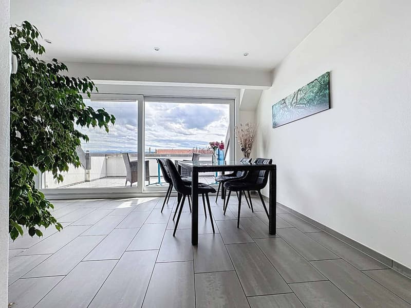 Attique de 5.5 pièces avec de belles hauteurs sous plafond et jardin (2)