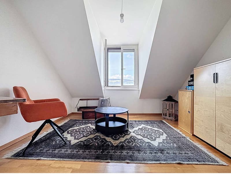 Attique de 5.5 pièces avec de belles hauteurs sous plafond et jardin (6)