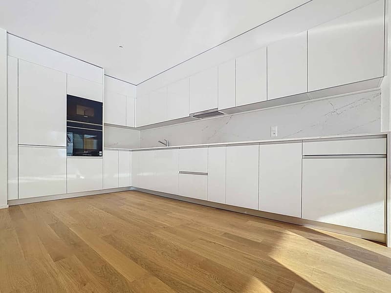 Luxueux 4.5 pièces traversant avec balcon de 76m2 et vue panoramique sur le lac (3)