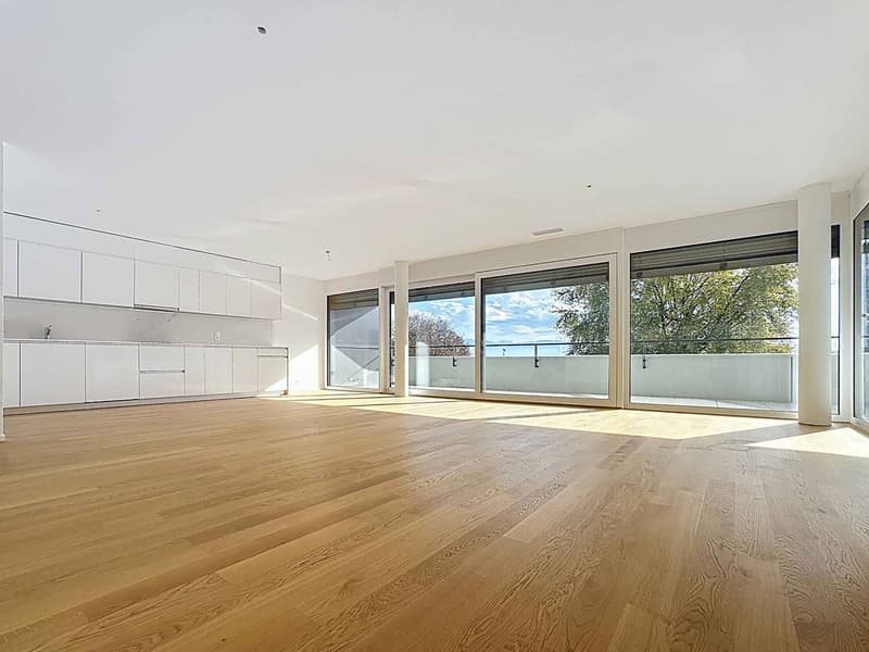 Luxueux 4.5 pièces traversant avec balcon de 76m2 et vue panoramique sur le lac (2)