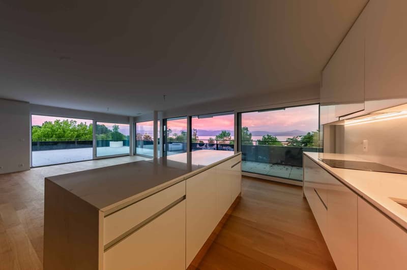 UNIQUE ! Attique neuf de 5.5 pièces bénéficiant d'un rooftop terrasse (2)