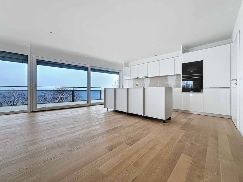 UNIQUE ! Attique neuf de 5.5 pièces bénéficiant d'un rooftop terrasse (4)