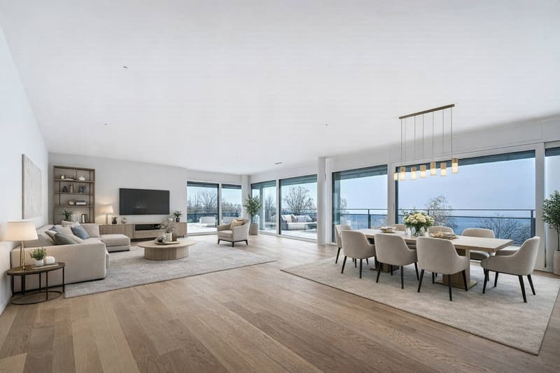 UNIQUE ! Attique neuf de 5.5 pièces bénéficiant d'un rooftop terrasse (2)