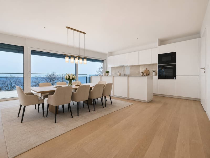UNIQUE ! Attique neuf de 5.5 pièces bénéficiant d'un rooftop terrasse (2)