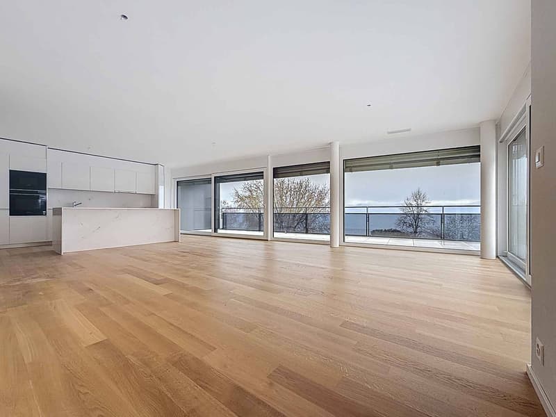 Nouvelle promotion : appartement de 5.5 pièces avec balcon couvert et terrasse (2)