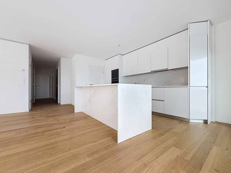 Nouvelle promotion : appartement de 5.5 pièces avec balcon couvert et terrasse (3)