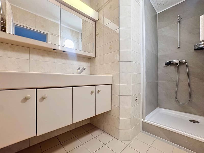 Magnifique appartement de 6.5 pièces avec balcon (10)