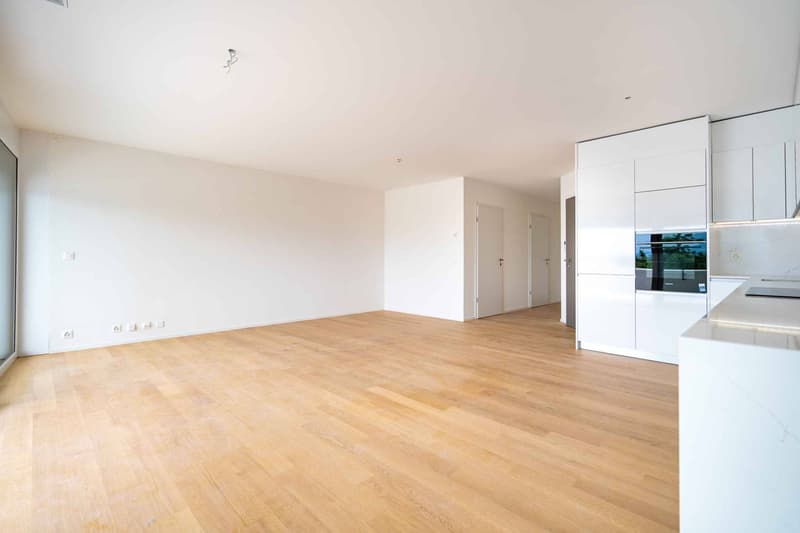 UNIQUE! Attique de 5.5 pièces de 180m2 bénéficiant d'un rooftop terrasse de 168m2 avec vue panoramique sur le lac et les Alpes (4)