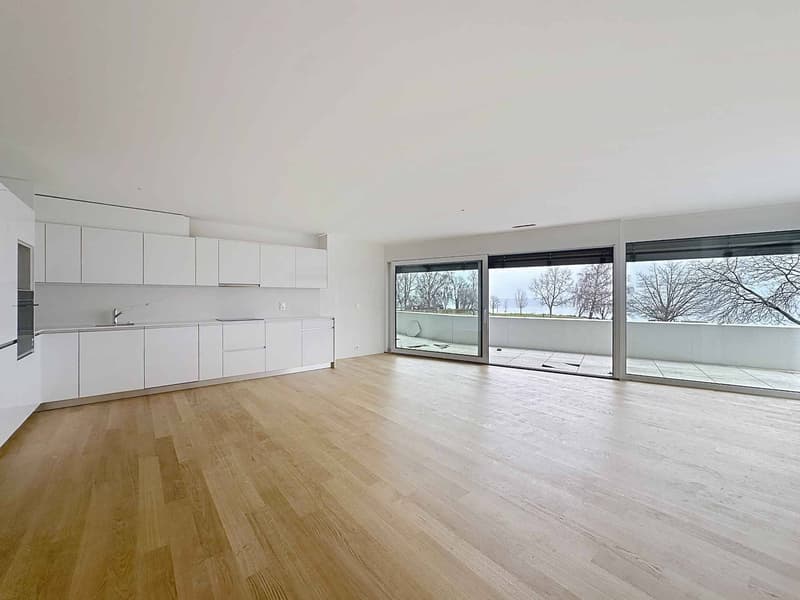 Spacieux 3.5 pièces traversant avec 2 balcons (1)