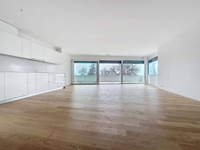 Spacieux 3.5 pièces traversant avec 2 balcons (4)